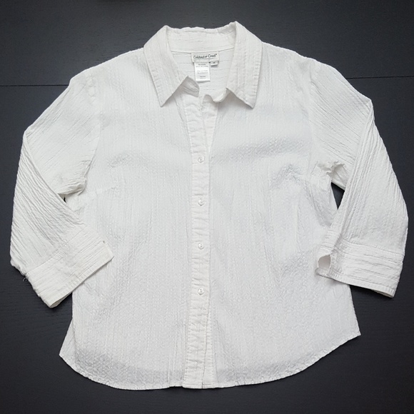 Coldwater Creek Tops - Coldwater Creek Button Down Textured Blouse